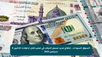 السوق السوداء.. ارتفاع جديد لسعر الدولار في مصر خلال تداولات الإثنين 8 سبتمبر 2025